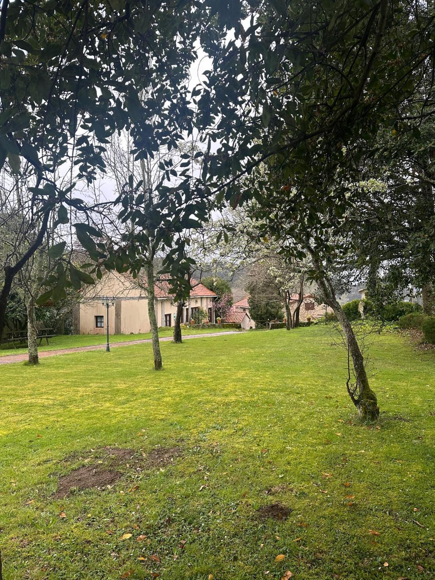 Casa Rural A Cobacha Paderne Exterior foto
